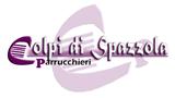 Colpi di spazzola